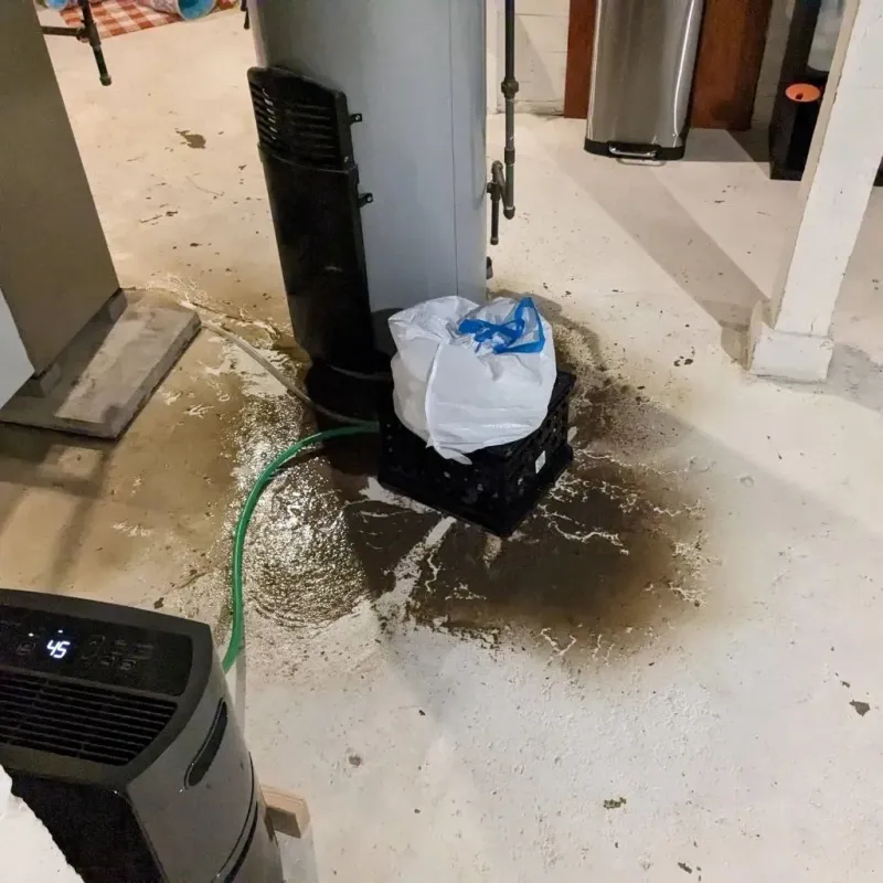 Sewage Backup Cleanup Service in Franklin Lakes, NJ